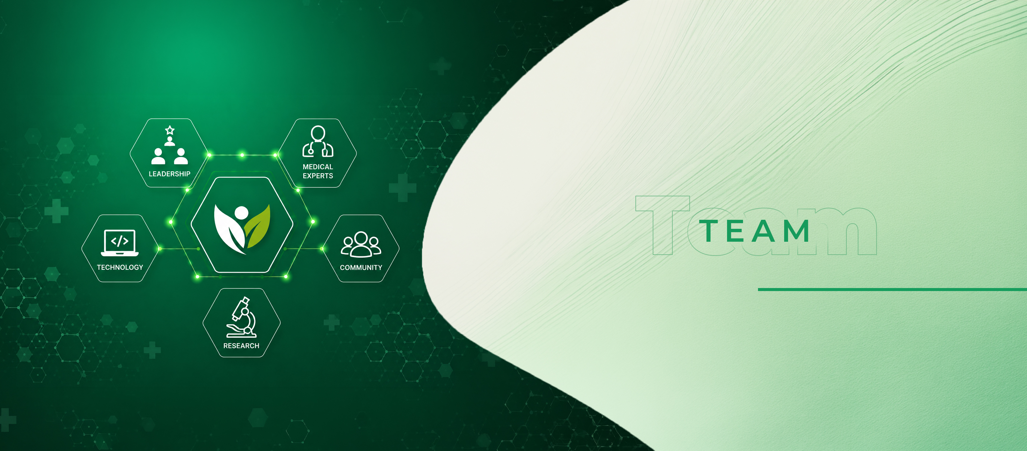 Our Team | Healthcare Communication Experts & Leadership Heal Health